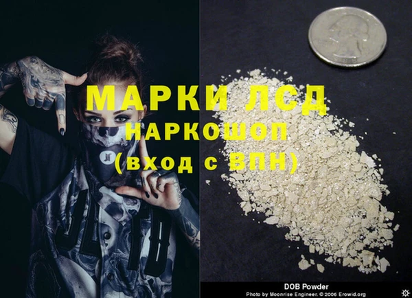 ALPHA PVP Елизово