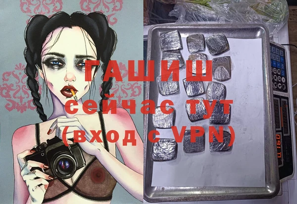 ALPHA PVP Елизово
